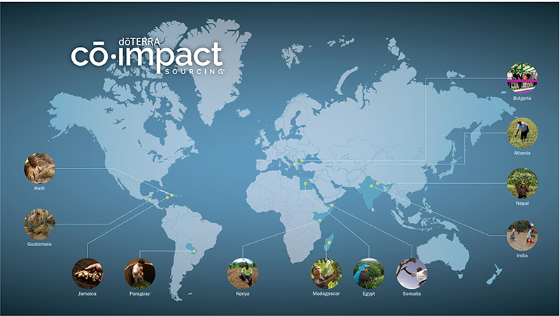 dT_co-impact-sourcing