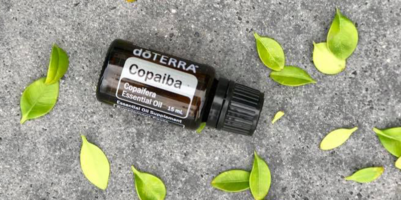 dT copaiba