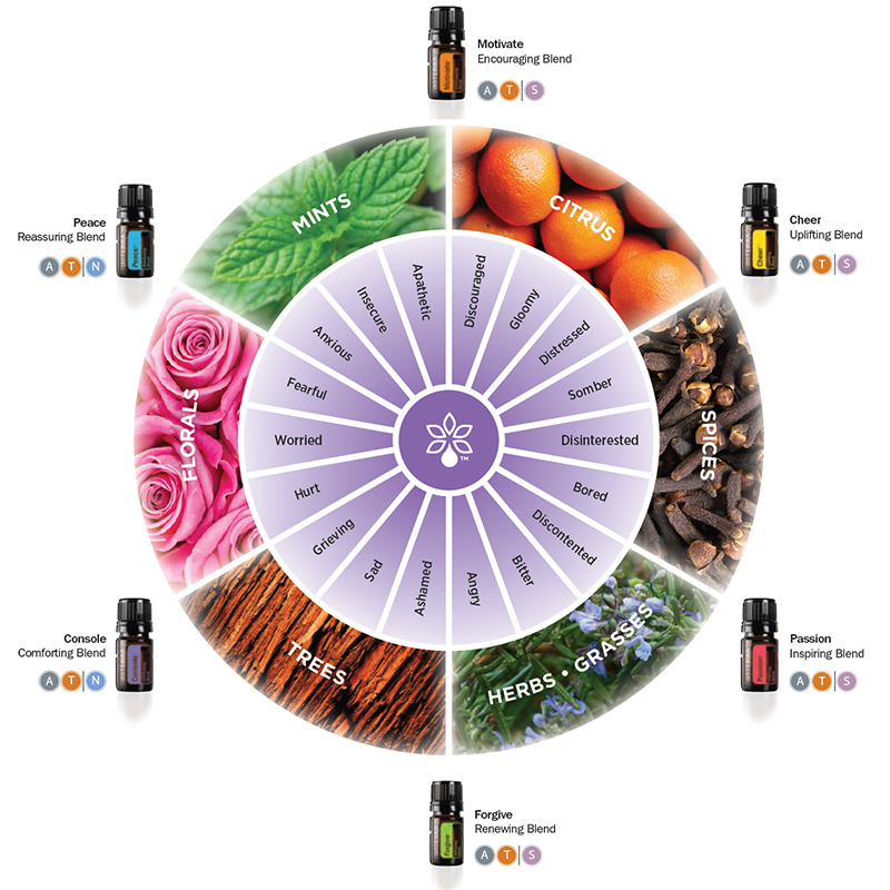 emotional aromatherapy wheel