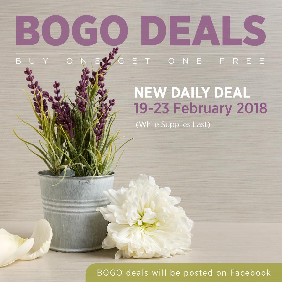 BOGO im Februar 2018