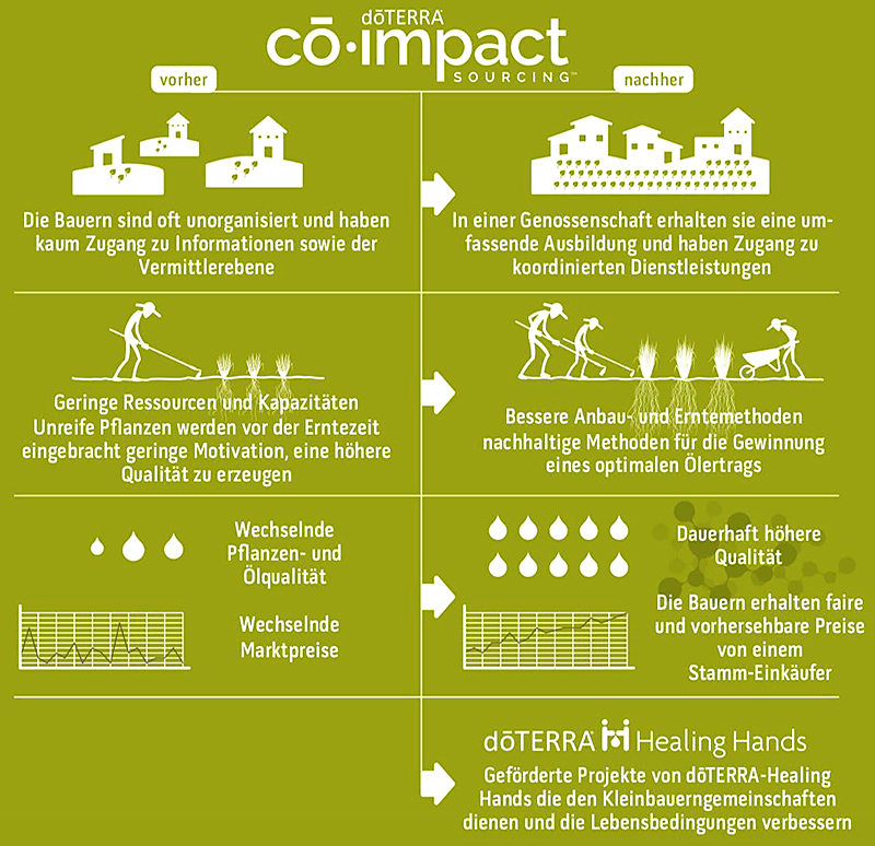 co-impact